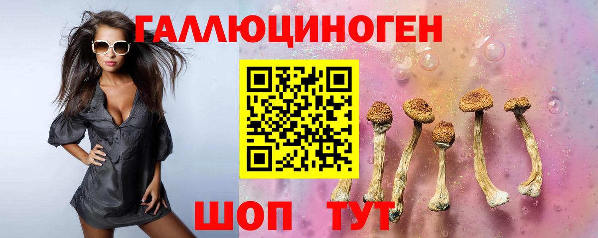 Галлюциногенные грибы MAGIC MUSHROOMS  Галлюциногенные грибы мухоморы  Пугачёв  Вход с VPN 